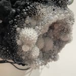 Amy Gross, Viridi Noctu