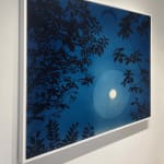 Rachel Campbell, My Summer Wonderland