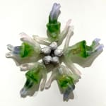 Christina Bothwell, Tea Party