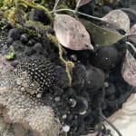 Amy Gross, Viridi Noctu