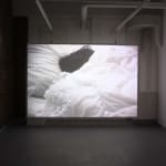 Carrie Schneider, Sleeper Awake, 2009