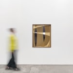 Sheree Hovsepian, Peaking, 2015