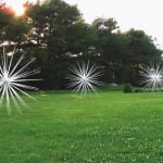 Norman Mooney, Windseeds 12' and 10', 2022