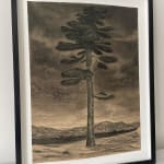 Jeff Olsson, Deserted Fire, 2017