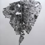 Aleida van Dijk, Healing Memories III, 2023