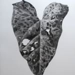 Aleida van Dijk, Healing Memories III, 2023