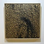 Braids Of Lies Framed