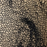 Braids Of Lies Main Image