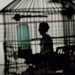 Eve Sussman, Themis in the Birdcage, 2005