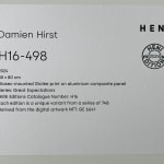 Damien Hirst, Great Expectations GE 4398