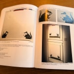 178006B0 33A8 4Cb2 8C78 0Fea8424Aeaa 1 201 A