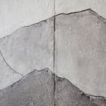 Zaida Oenema, Tree, 2016