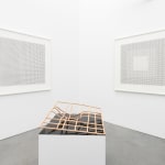 Jane Springwater, Veiled, 2016