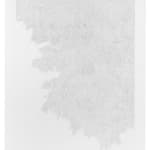 Jane Springwater, Depth of Field, 2024