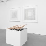 Jane Springwater, Veiled, 2016