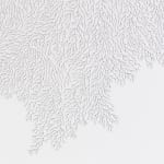 Jane Springwater, Depth of Field, 2024
