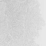 Jane Springwater, Depth of Field, 2024