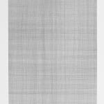 Jane Springwater, Veiled, 2016