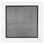Jane Springwater, Depth of Field, 2024