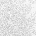 Jane Springwater, Veiled, 2016