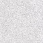 Jane Springwater, Depth of Field, 2024