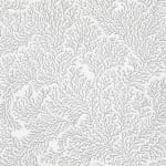 Jane Springwater, Veiled, 2016