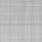 Jane Springwater, Veiled, 2016