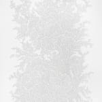 Jane Springwater, Veiled, 2016