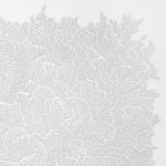 Jane Springwater, Veiled, 2016