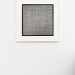 Jane Springwater, Depth of Field, 2024