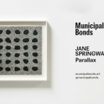 Jane Springwater, Depth of Field, 2024