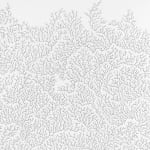 Jane Springwater, Veiled, 2016