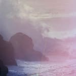Christine Flynn, Dune, 2013