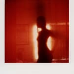 Patrick Sansone, 100 Polaroids, #97, 2008