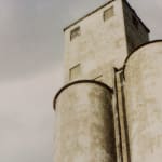 Patrick Sansone, 100 Polaroids, #97, 2008