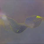 Tracie Cheng, Untitled, 2023