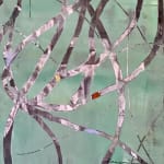 George Kanonidis, Spring 2, 2016