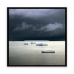 David Burdeny, Tulips 10, Noordoostpolder, Netherlands, 2016