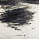 Bruna Stude, WATERLINE NO16, 2016