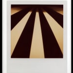 Patrick Sansone, 100 Polaroids, #97, 2008