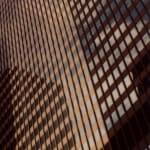 Patrick Sansone, 100 Polaroids, #97, 2008