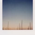 Patrick Sansone, 100 Polaroids, #97, 2008