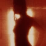 Patrick Sansone, 100 Polaroids, #97, 2008