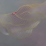 Tracie Cheng, Untitled, 2023