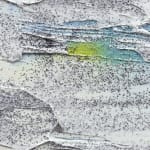 David Mohr, Iapetus (2), 2016