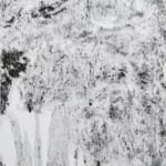 David Mohr, Iapetus (2), 2016