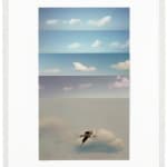 Andrés Galeano, Vertical Skies #59, 2016