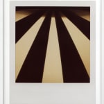 Patrick Sansone, 100 Polaroids, #97, 2008