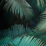 Christine Flynn, Dune, 2013