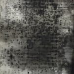 Vanessa Kocking, Uniqueness, 2016